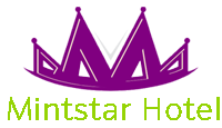 Minstar Hotel, New Delhi